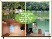 양평수곡낚시터 유료낚시터 > 양평 수곡낚시터 주말, 일요일 조황 : 낚시사랑