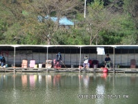 당골낚시터 유료낚시터 > ~~~조황정보~~~ : 낚시사랑