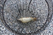 여주낚시터. 유료낚시터 > 가을 하늘 아래 여주낚시터~~~ : 낚시사랑 여주낚시터. 유료낚시터 > 가을 하늘 아래  여주낚시터~~~ : 낚시사랑