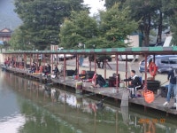 오빈낚시터 유료낚시터 > *오빈낚시터* ***주말조황 정보및 방류소식 전합니다*** : 낚시사랑