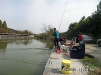 당골낚시터 유료낚시터 > ~~~조황정보~~~ : 낚시사랑