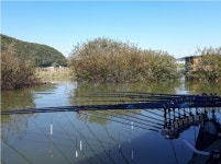 관광좌대 유료낚시터 > 송전지 관광좌대 붕어 조황 : 낚시사랑