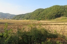 양평그린낚시터 유료낚시터 > 양평 그린낚시터..갈수록 풍년 이로세~~~!! ^^* : 낚시사랑