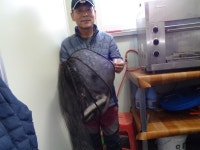 밤밭하우스 유료낚시터 > 밤밭실내장어낚시터 휴일조황입니다 : 낚시사랑