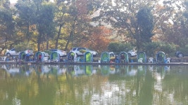 우금낚시공원 유료낚시터 > 주중조황안내 : 낚시사랑