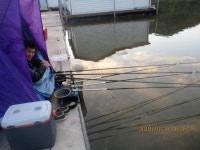 반제지 유료낚시터 > 반제지조황정보및감사의마음 : 낚시사랑