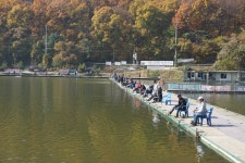 용인지곡낚시공원 유료낚시터 > ◐ 왜?무엇때문에... ◐ : 낚시사랑