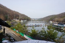 용인지곡낚시공원 유료낚시터 > ◐ 요즘 가장 핫한 지곡지 ◐ : 낚시사랑