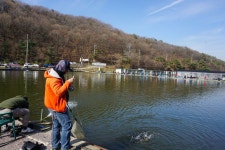 용인지곡낚시공원 유료낚시터 > ◐ 요즘 가장 핫한 지곡지 ◐ : 낚시사랑