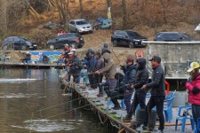 용인지곡낚시공원 유료낚시터 > ◐ 요즘 가장 핫한 지곡지 ◐ : 낚시사랑