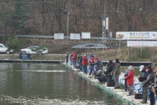 용인지곡낚시공원 유료낚시터 > ◐ 요즘 가장 핫한 지곡지 ◐ : 낚시사랑