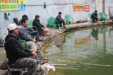 여주낚시터. 유료낚시터 > 여주 하우스~~~~주말 : 낚시사랑