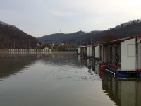 삼인낚시터 유료낚시터 > 용인 삼인낚시터 주말 조황~~!!-용인 삼인낚시터- : 낚시사랑