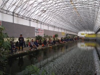 목현낚시터 유료낚시터 > 목현 소식 : 낚시사랑