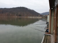 삼인낚시터 유료낚시터 > 용인 삼인낚시터 주말 조황~~!!-용인 삼인낚시터- : 낚시사랑