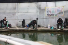 여주낚시터. 유료낚시터 > 여주하우스 토요일 : 낚시사랑