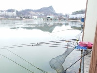 안성 거청낚시터 유료낚시터 > 안성 거청낚시터 12 월 11 일 붕어조황 : 낚시사랑 안성 거청낚시터 유료낚시터 > 안성  거청낚시터  12 월 11 일... 