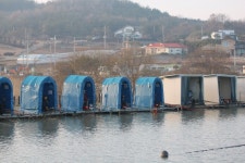 내동지 유료낚시터 > *** 만석 *** : 낚시사랑