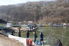 용인지곡낚시공원 유료낚시터 > ◐ 그래도 국내산 토종 붕어가.. ◐ : 낚시사랑