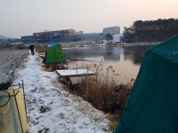 모란지 유료낚시터 > 마이제낚시터 : 낚시사랑
