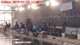 농촌지낚시터 유료낚시터 > 핫♨농촌지하우스-조황안내 : 낚시사랑