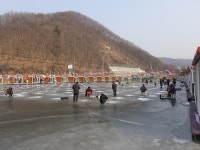 한터낚시터. 유료낚시터 > 송어 얼음낚시 너무 잘 나옵니다 : 낚시사랑