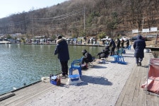 용인지곡낚시공원 유료낚시터 > ◐ 토종 양식 붕어방류합니다. ◐ : 낚시사랑