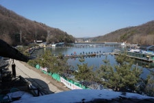 용인지곡낚시공원 유료낚시터 > ◐ 점점 좋아지는 조항 모습 ◐ : 낚시사랑