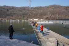 용인지곡낚시공원 유료낚시터 > ◐ 점점 좋아지는 조항 모습 ◐ : 낚시사랑