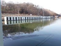 남전지기 유료낚시터 > 주말조황 및 방류소식 : 낚시사랑