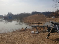 내곡지 유료낚시터 > 내곡낚시터 조황 : 낚시사랑