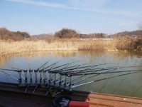 내곡지 유료낚시터 > 내곡낚시터 조황 : 낚시사랑