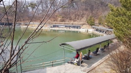 새말낚시터 유료낚시터 > 새말낚시터 3월1일 영업시작 연속방류공지 : 낚시사랑