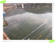 양평수곡낚시터 유료낚시터 > 양평 수곡낚시터 주말 주중 조황 : 낚시사랑