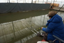 함박골낚시터 유료낚시터 > 이게 왠일~~~~~^^ : 낚시사랑