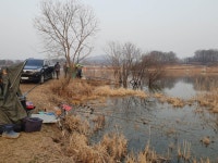 내곡지 유료낚시터 > 내곡낚시터 조황 : 낚시사랑