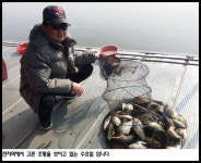 죽산지기 유료낚시터 > 아산죽산지3/7일 수요일 밤 조황 입니다 : 낚시사랑