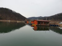 삼인낚시터 유료낚시터 > 개장일 주말 조황~~!!-용인삼인낚시터- : 낚시사랑