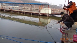 김동범 유료낚시터 > 우째 이른일이,,,,,,, : 낚시사랑