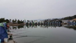 우금낚시공원 유료낚시터 > 추워졌지만 봄은 와있습니다. : 낚시사랑