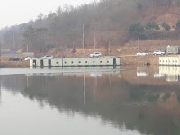 남전지기 유료낚시터 > 3일동안 100수~200수 이상 무려 8명 넘게 탄생!! : 낚시사랑