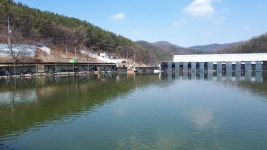 공주 큰목골낚시터 유료낚시터 > 공주 큰목골낚시터 3월18일 소식 : 낚시사랑