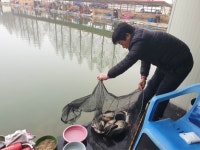 안성 거청낚시터 유료낚시터 > 붕어전용 거청낚시터 3월 20일 붕어조황 : 낚시사랑