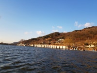 산들낚시터 유료낚시터 > 아산 산들낚시터의 지럴같은 3월넷째주 주말 이었네요. : 낚시사랑