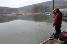 고담낚시터 유료낚시터 > 벽돌좌대 2번 붕어 100수 탄생 : 낚시사랑