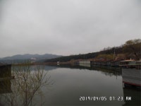 도곡낚시터 유료낚시터 > 도곡낚시터 붕어 조황 정보 감사합니다 : 낚시사랑