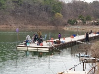 유료터정보 > 유료터점주조황 > 물 맑고 힘 좋은 용인 삼인 낚시터 조황~~!!-용인 삼인낚시터-