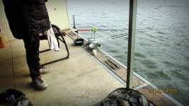 반제지 유료낚시터 > 반제지 251수찍고 고객감사의 마음 : 낚시사랑