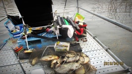 반제지 유료낚시터 > 반제지 251수찍고 고객감사의 마음 : 낚시사랑