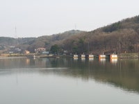 삼인낚시터 유료낚시터 > 물 맑고 힘 좋은 용인 삼인낚시터 !!-용인 삼인낚시터- : 낚시사랑